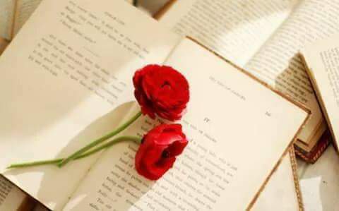 مساء الفرح  يا من تشتاق له الحواس توقا.. و تنتعش به النبضات عرسا..  وتكتفي به الساعات قربا.. وتغتسل به روحي مطرا..
هلوسة بعيدة عن واقعي 😐😐😐