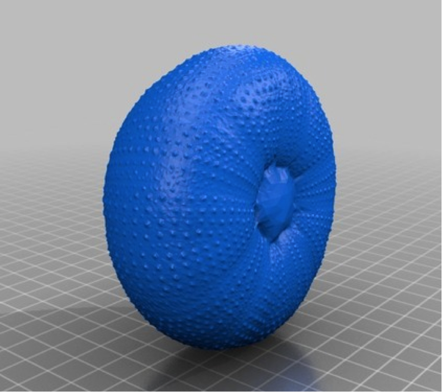 nextengine's tweet image. High precision #3D #SeaUrchin shape capture with @NextEngine #3DScanner for #airplant  thingiverse.com/make:264413