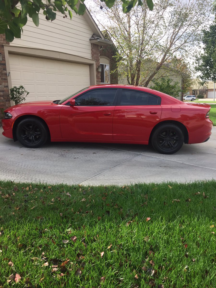 austkill2015's tweet photo. My baby is so pretty 😍😍😍 https://t.co/4rVNi7kVgA