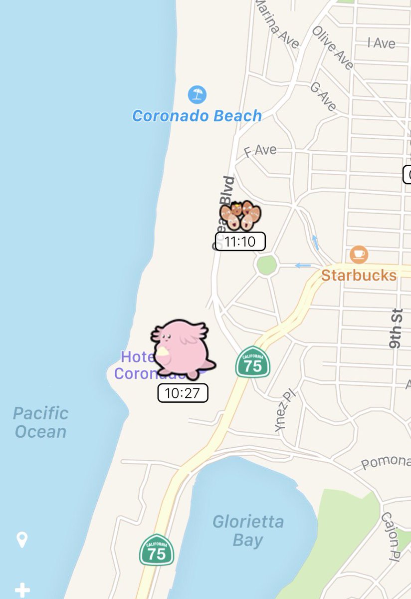 jadeversion's tweet image. First posted PokeWhere wild #Chansey :) @PokewhereGO #pokewhere
