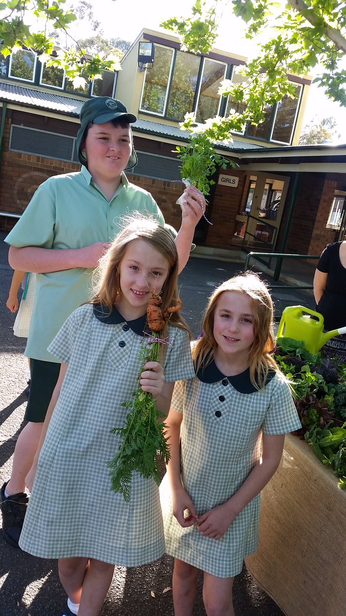 Newbridge Heights PS tweet media