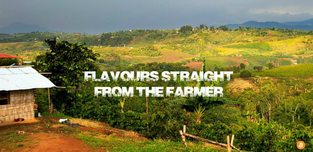 Explicittity's tweet image. Now you can Buy #Coffee&amp;amp; #Tea straight from the farmer! #Bitcoin Accepted. 
bit.ly/2eFlK0F @FlavoursPlace #coffeelovers