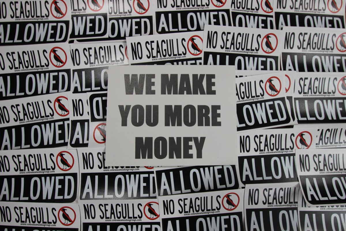 No Seagulls Allowed | We Make You More Money
colossusmediagroup.com