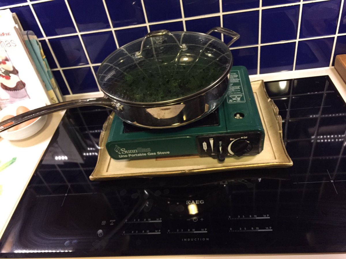 Week 3 and our <a href="/AEGworldwide/">AEG</a> induction job still isn't repaired so we have to use a camping stove #badservice