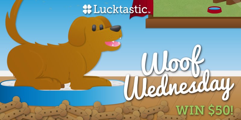 PlayLucktastic's tweet photo. Paw your way towards winning $50 CASH in today's Woof Wednesday bonus card, available 4pm - 6pm, ET! 🐶  https://t.co/o0UIkn21OW 🐶 https://t.co/9NhGHyrmdY