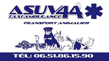 ASUV 44 tweet media
