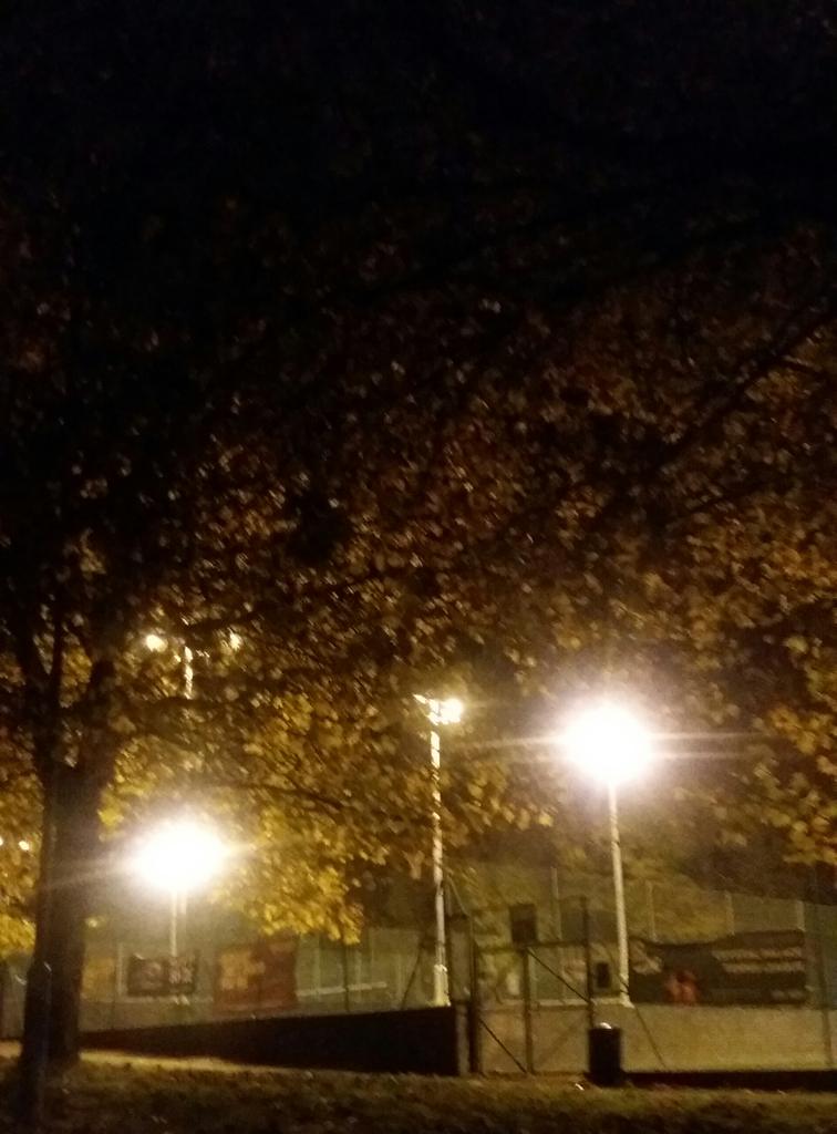 MichaelJEagling's tweet photo. 🍁🍂Colours of autumn #CPNSC 🏊 training in good company @Lixsanyee @Daniel_Pinn @MatthewMaginnn @HannahEwens @paul67cpt @gllsf @Better_UK https://t.co/Iyy97e8bAk