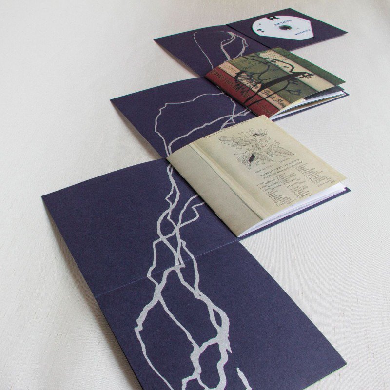 SPGuairdeall's tweet photo. Great to have our book selected for Dublin Art Book Fair@TBGandS 10-13 Nov #DABF16 #StormyPetrelguairdeall #EilisMurphy #foldedleaf https://t.co/bP27DVjdIg