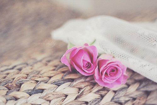 2ii0__'s tweet photo. ↴ ❁
احتاج اشياء تدوم ليّ على طول بدون لا اضطر 
اني في يوم من الايام ادوس على قلبي واتركها .
💞💫
.
.
#اسـوم
ٓ
•• https://t.co/dsjJ7LU5dM