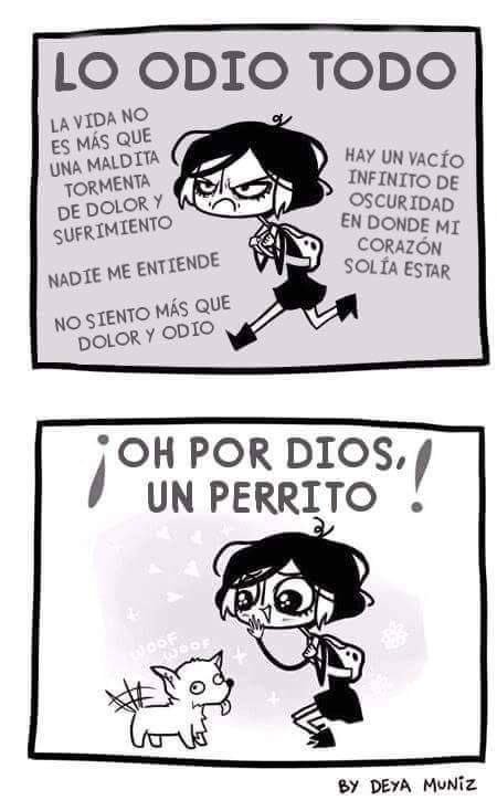 bebi_fernandez's tweet photo. Mi puta vida. https://t.co/NTdggtuWak