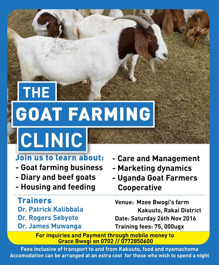 Bwogi Farms Uganda (@gbwogi) on Twitter photo 