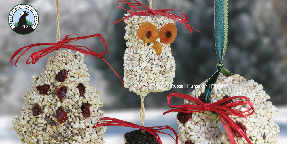 National Wildlife Federation On Twitter Supplement Natural Food