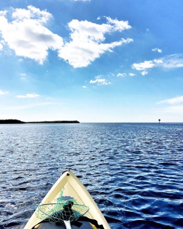 ShareALittleSun's tweet photo. A mid-week mental break like this is just what we needed. Where do you like to kayak? 📷: @pauszu #LoveFL https://t.co/74PjcEee7D