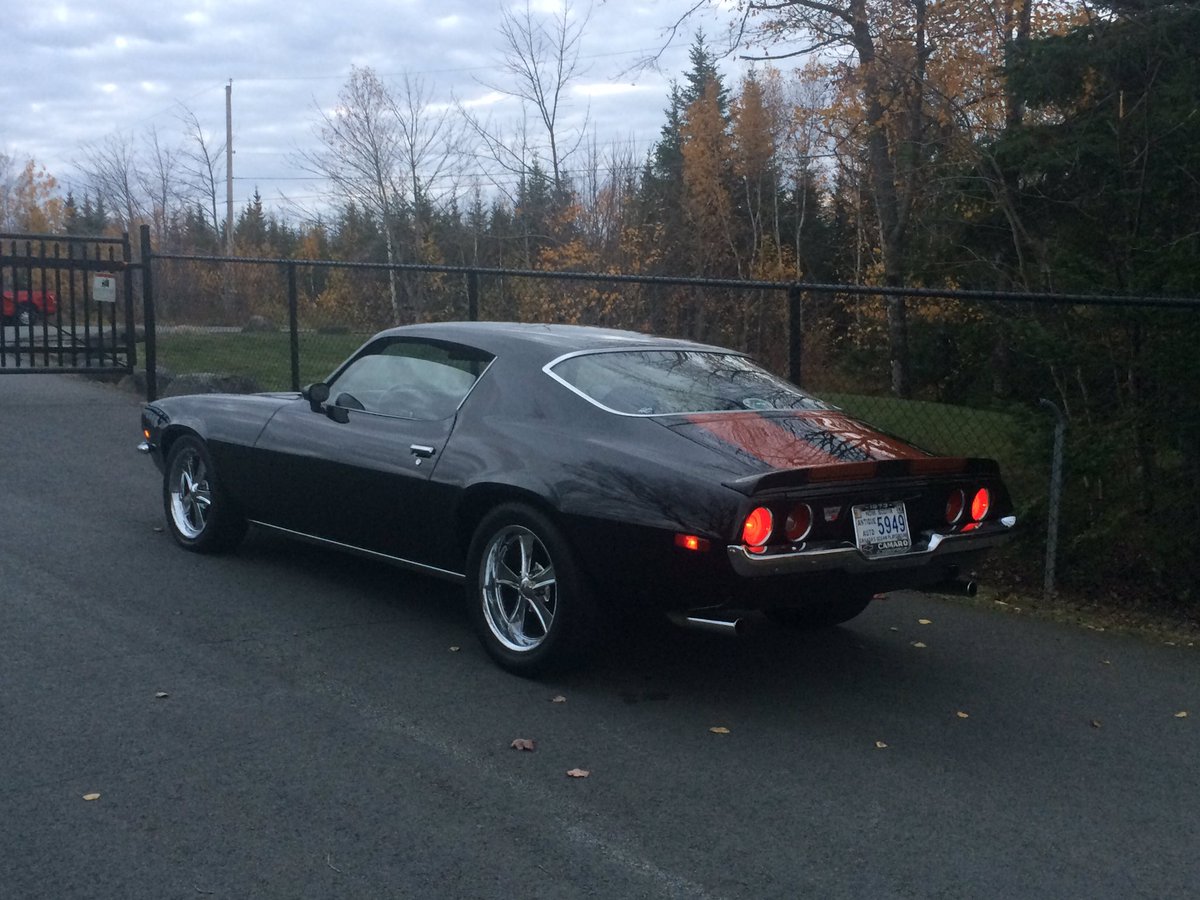 1973lt's tweet image. Nap time. Going to bed 'til the spring.