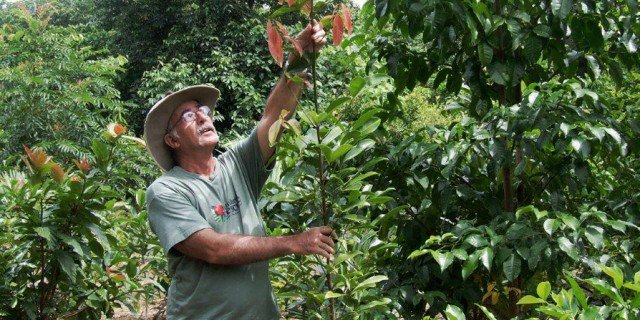 startitheather's tweet image. We&apos;ve just planted 1 tree to nurture the environment in Australia  on B1G1.