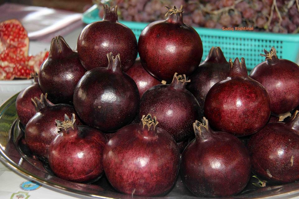 #رمان قندهاري :)
#كندهار #افغانستان