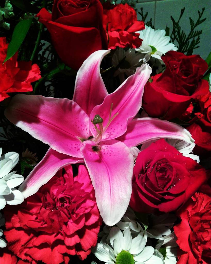 VallAgenda's tweet photo. #flowers #flower #rose #nature #Valladolid #marketing #VAciudadAmiga #instanature #entrepe… https://t.co/mWF3paahm9 https://t.co/A3Z2g2PHuy