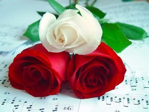 <a href="/ogog1433/">عآشقة 🎻</a> 
شكرا يا صاحبة الإحساس الراقي..والسطر الأنيق 
شكرا لك صاحبة الحرف المؤثر والمتأثر...عاشقة الإحساس..