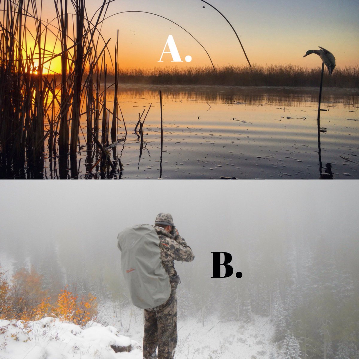 Backcountry_H_A tweet picture