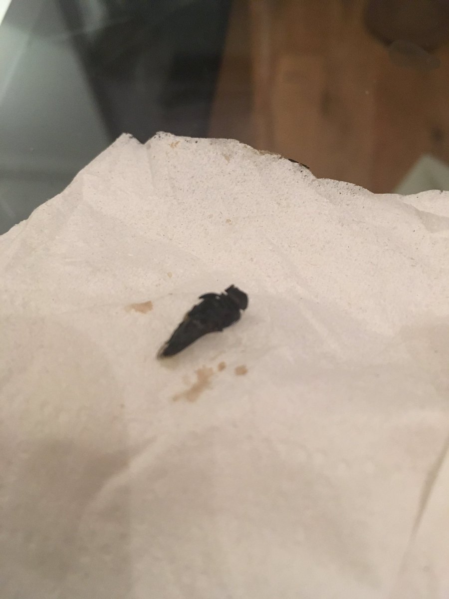 DiegoMuf's tweet photo. @Morrisons very disppointed about finding an insect on my mixed leaf salad. You really ruined my day. https://t.co/kAQPJcnofi