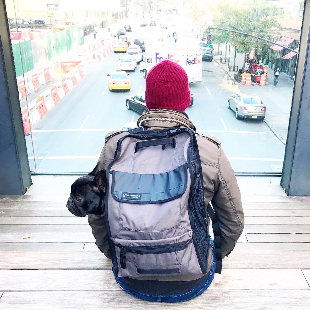 rob honeycutt timbuk2