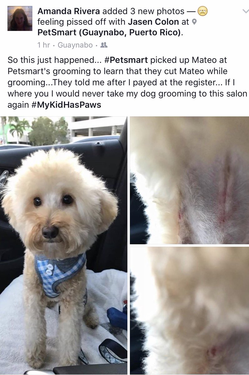Unbelievable this happened!! <a href="/PetSmart/">PetSmart</a> dropped the ball!! facebook.com/amanda.rivera.…