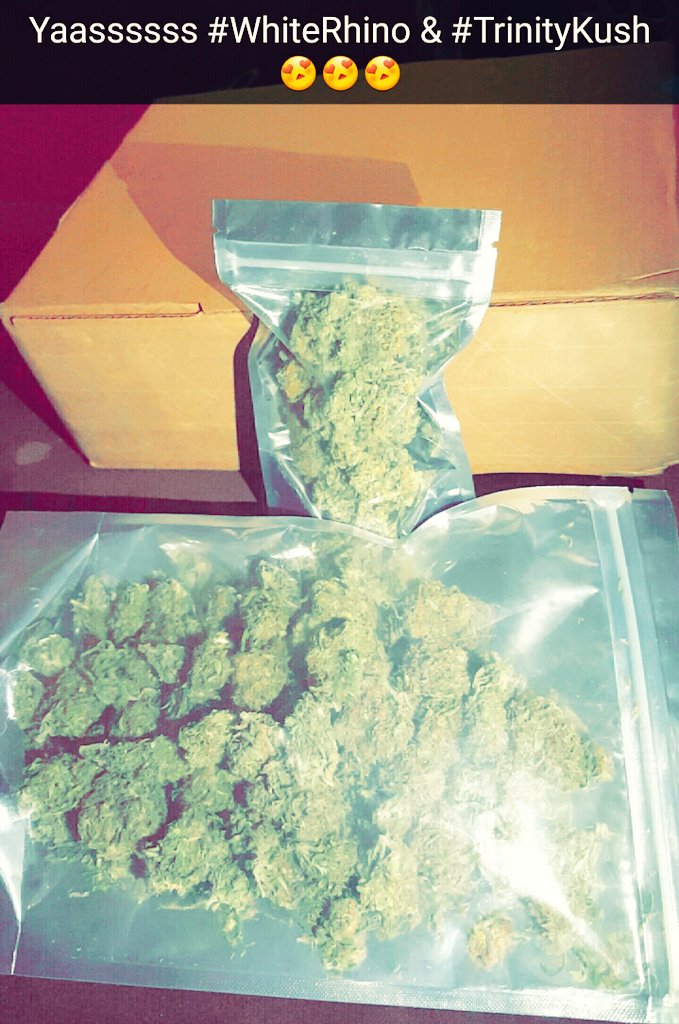 TheStonedServer's tweet photo. Newest batches 💣💨😍 #Dank #TrinityKush #WhiteRhino #MoreTreesThanAForest https://t.co/Uex28Om7Iw