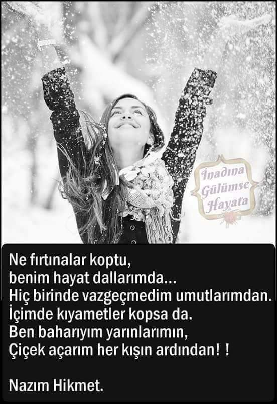 baha altınkaya (@bahaaltnkaya) on Twitter photo 