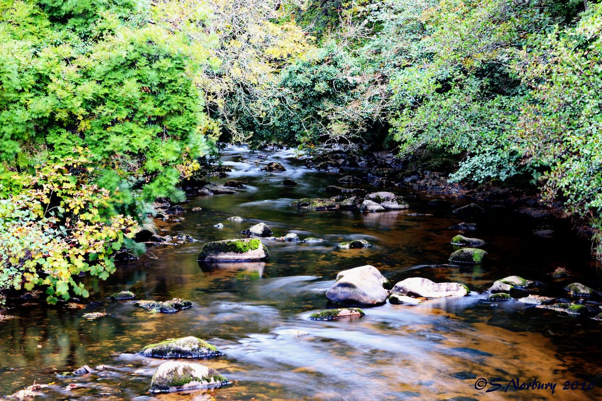 SamsArtyArt's tweet photo. My fav photo from my trip to Fingle. @DevonLife @SW_Exeter @DevonLifeEd @FingleWoods @charlesevansart @DevonSouthWest #fingle #Drewsteignton https://t.co/xmVtYiR13g