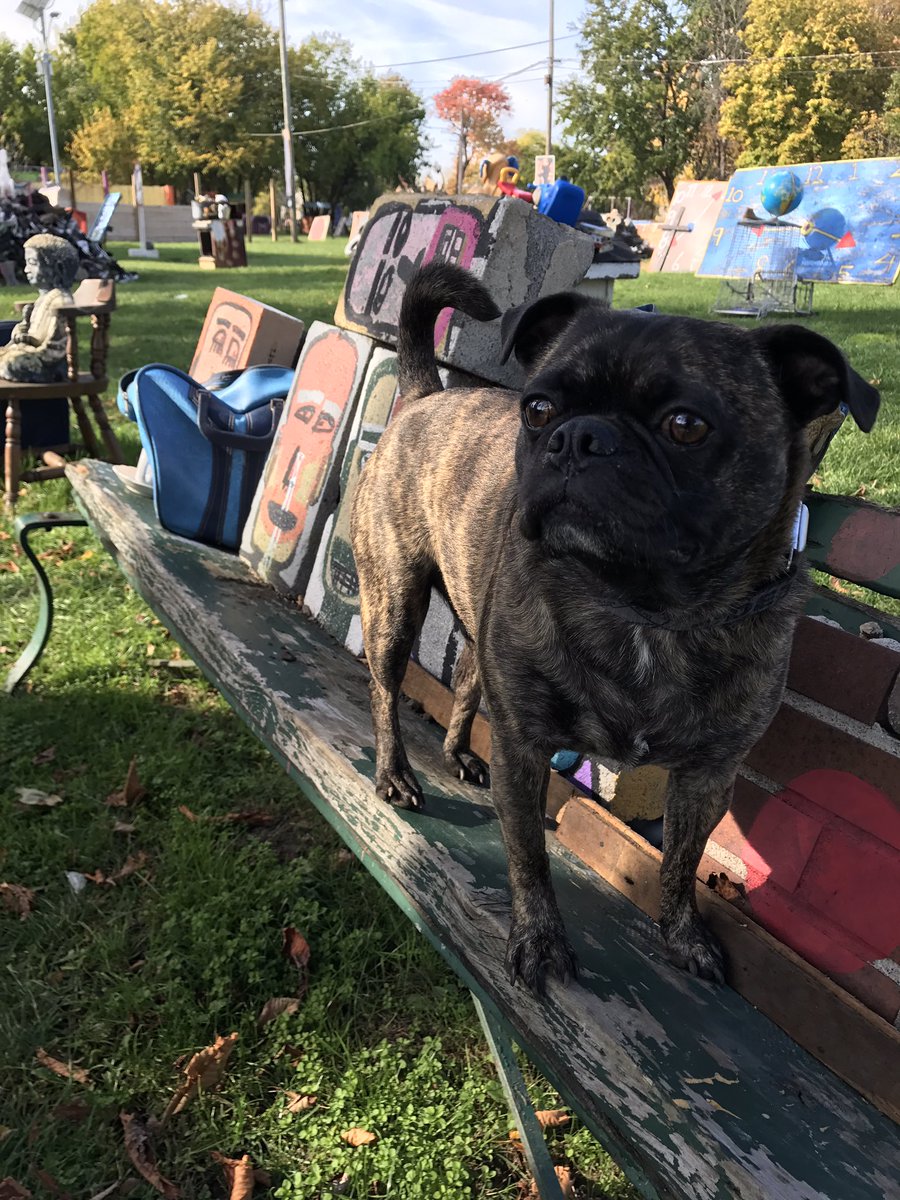 jessecory (@jessecory) on Twitter photo 