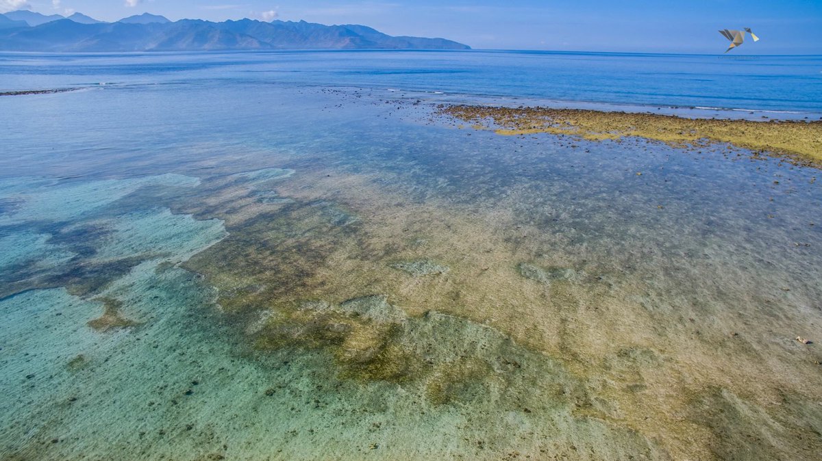 Time spent at the beach is never wasted.Good morning world!
#fotoudara #wonderfulindonesia #aerial #drone #morning #Travel #quoteoftheday