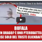 mauriziosia's tweet photo. È un #drago? Uno #pterodattilo? No, è una #bufala! https://t.co/PwC33D0BsZ https://t.co/JsPeZOwCnp