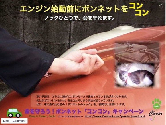 車の下やエンジンルームで眠る猫や小動物 愛車を事故から守るためにも 寒い季節にはエンジンをかける前に要チェック Twitter