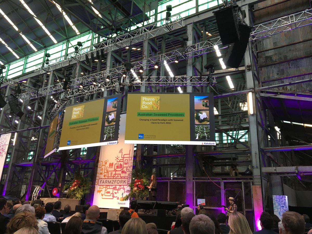 Nancy Schellhorn tweet media