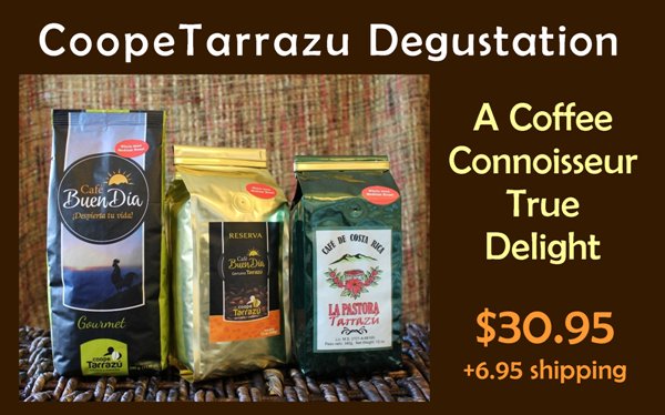 CRCoffeeShop's tweet photo. Let CoopeTarrazu take you on a trip through all the different flavors &amp; aromas of #Tarrazu. #coffee #sustainability https://t.co/x4JrYtXToP https://t.co/0w1WfIoeT9