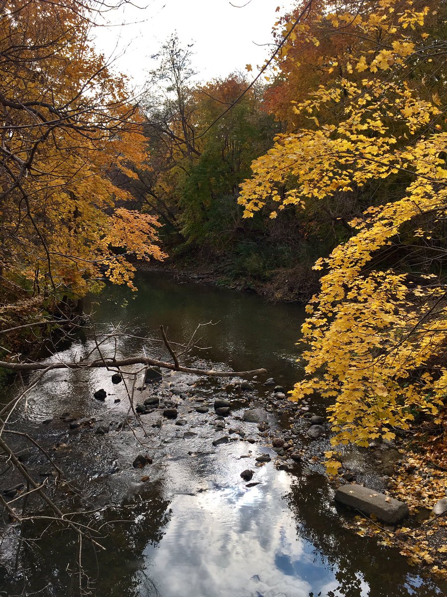 Swissmiss88's tweet photo. Can't get enough of fall colors! #trailunning #FallColors #summerneverends #Chimera100 https://t.co/zgkjltNLIq