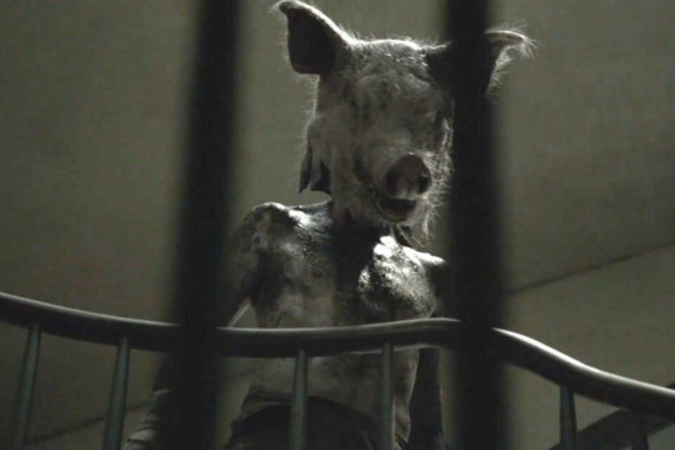 xxjayd3's tweet photo. Remember the Geico pig? This is him now. #AHSRoanoke #AHS6 https://t.co/ee1DI9RjRp