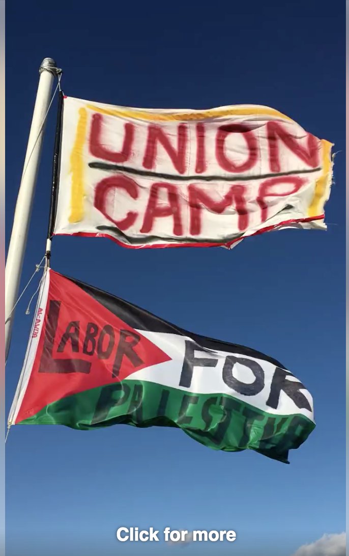 Video of Labor for Standing Rock and Labor for Palestine flags flying at Oceti Sakowin Camp
#L4SR #LaborforPalestine #NoDAPL #MniWiconi