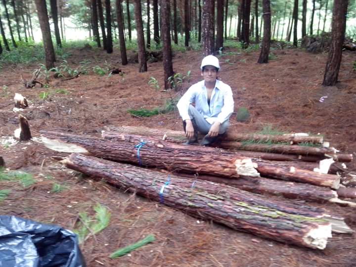 unforesto's tweet photo. Recuerdos de Campo I #Aprovechamiento #Hachero #Forestal https://t.co/I7bgLkZf68