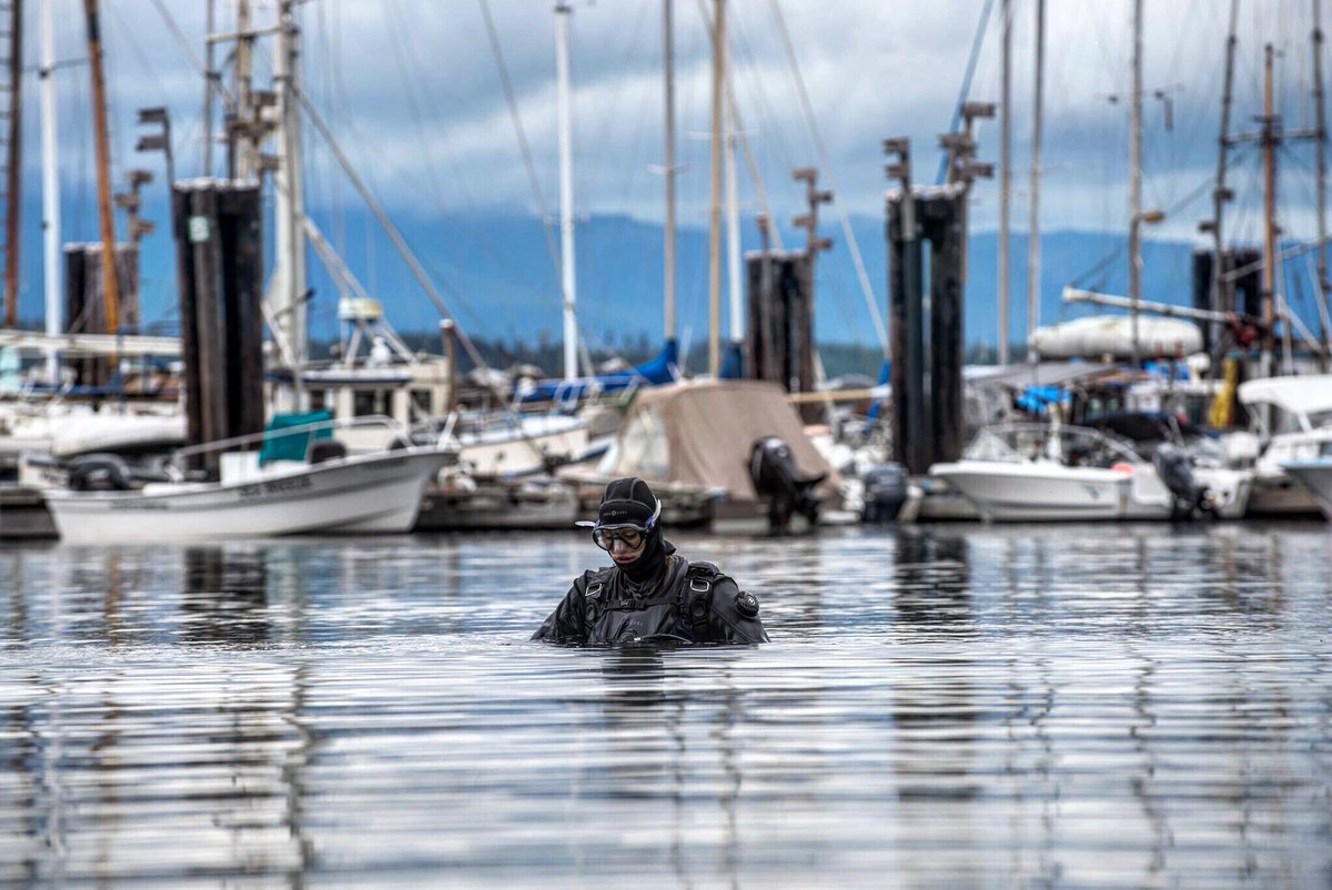 TabithaLipkin's tweet photo. Creature of the deep... π»
#AquaLung #ProTeamExpedition #HornbyIsland #Canada #DiversLife #DiveMasterTabitha
@AquaLungDivers https://t.co/HZBI4SFygx