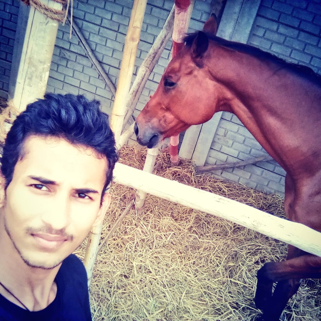 aryan_anas's tweet photo. Nice horse https://t.co/tjLZWvlWXt