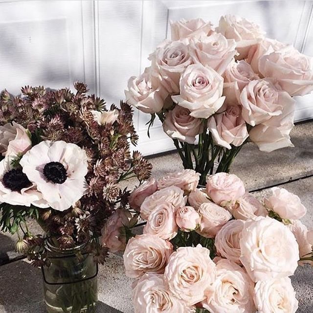osl_intimates's tweet photo. 🌸🌸 https://t.co/dCw6OLwPVM
#ohsolovelyintimates #Inspo https://t.co/QsON3b51SV