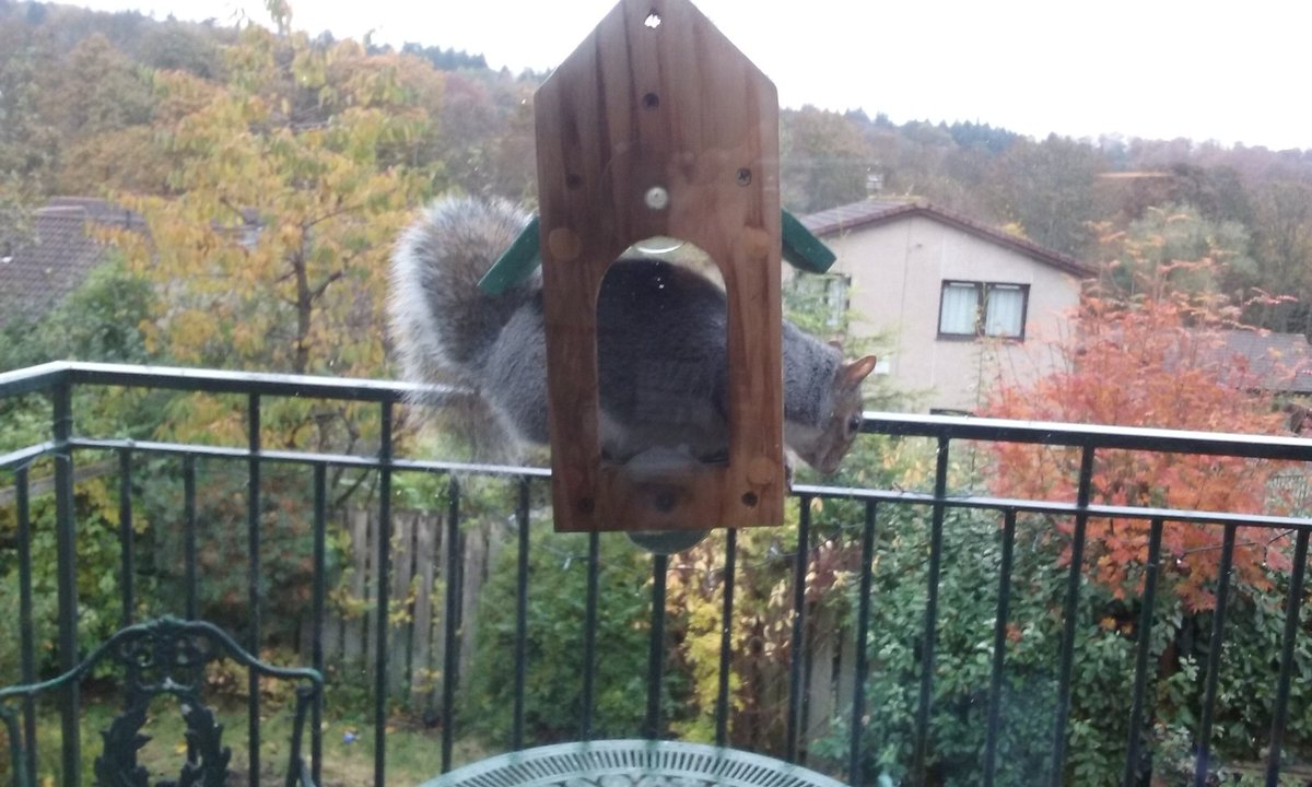 maroonajambo's tweet photo. #NutsPlease 🌰 https://t.co/ABeszGq3Rx