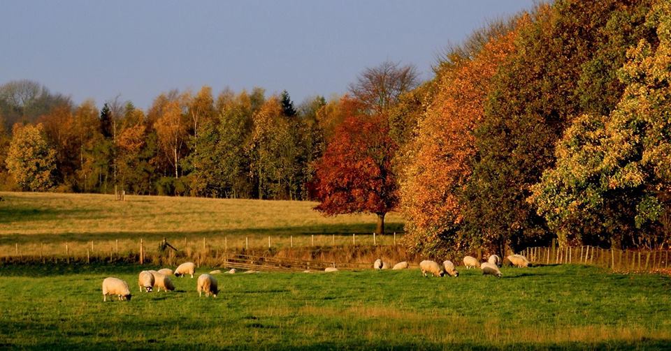 Another Ian Greenwell image.
Ian's penultimate day at Lambton.
Good luck.