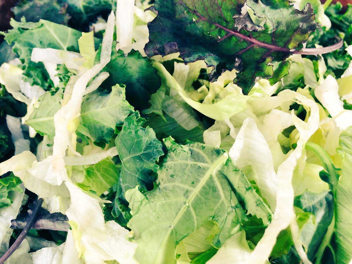 ForgottenCutsCo's tweet image. We're v excited to be feeding you #brighton tmrw @StreetDiner with our #slowroasted #meatboxes &amp;amp; #veganboxes #roseveal #pumpkin #lamb #pork