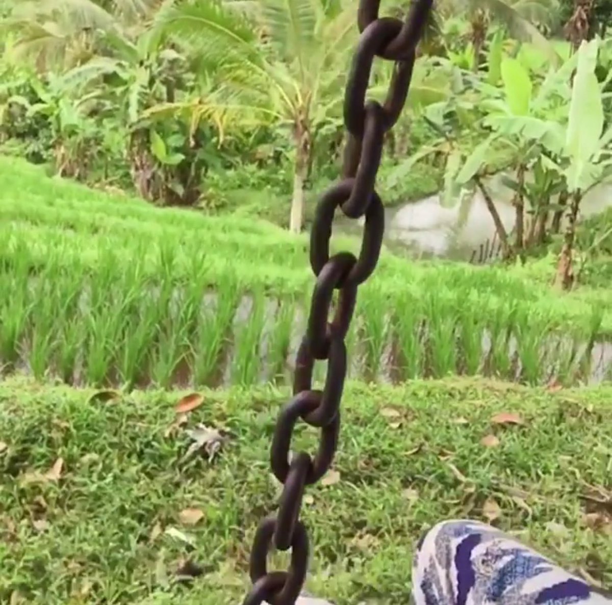 LegsofOllyYears's tweet image. Such a small tease of Olly's Bali legs.