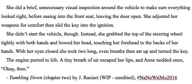 Jenifer_Ranieri's tweet photo. Ok, everything I write from this point on will be gibberish so I'm calling it. #Day2's #: 4503 #NaNoWriMo2016 #StartFreshTomorrow https://t.co/5ZW7warxM6