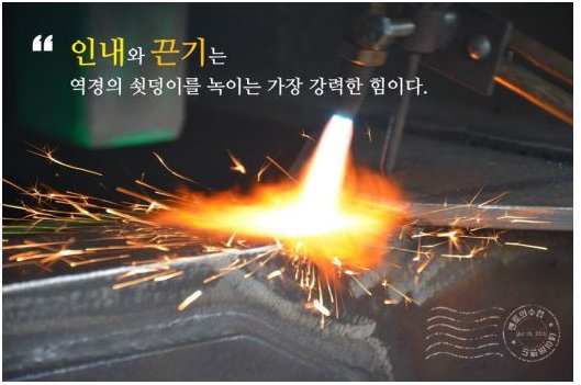 미라클 월드 (@adelinefree80) on Twitter photo 