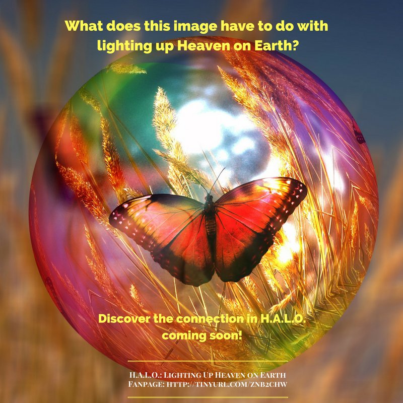 BrianDCalhoun's tweet photo. Join #TeamHALO & myself as we prepare for the launch of our NEW book. Details to come! #HALOvision #Love #Light #Abundance #Health #Spirit https://t.co/52QGpeAG4k