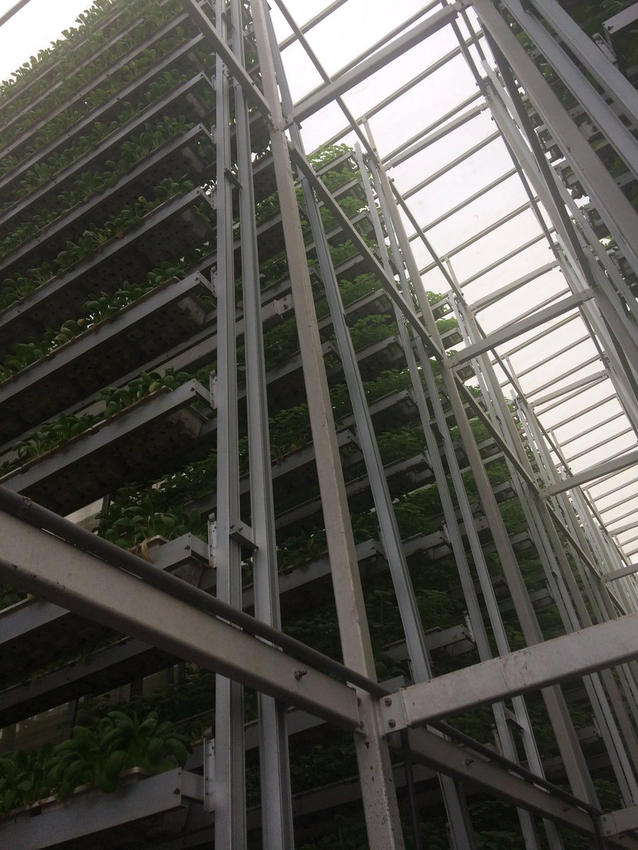 James_Coxx's tweet photo. Vertical farming at Kranji Farms Sky Greens - solution to Singapore's agricultural land capacity problem? #RASC2016 https://t.co/B55mlCVf2R